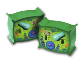 PLANT CELL  -  BUDGET