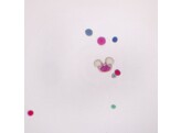 MIXED POLLEN GRAINS  WM