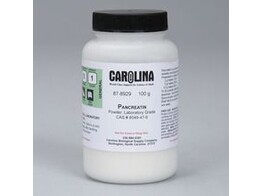 PANCREATINE  POEDER  LABORATORY GRADE  100 G