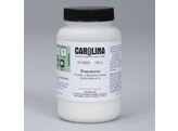 PANCREATIN  POWDER  LABORATORY GRADE  100 G
