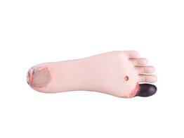 ULCERATED FOOT FOR SUSIE / SIMON TRAINING MANIKIN