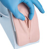 SIMULATEUR DE CATHETERISME BASIC  FEMININ