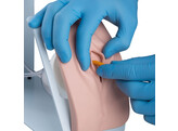 SIMULATEUR DE CATHETERISME BASIC  FEMININ