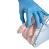 SIMULATEUR DE CATHETERISME BASIC  MASCULIN