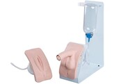 CATHETERIZATION SIMULATOR BASIC  MALE AND FEMALE