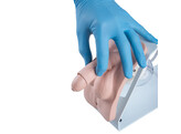 CATHETERIZATION SIMULATOR BASIC  MALE AND FEMALE