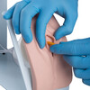 CATHETERIZATION SIMULATOR BASIC  MALE AND FEMALE