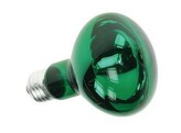 GROEN LAMP VOOR KLEURMENGING 60W