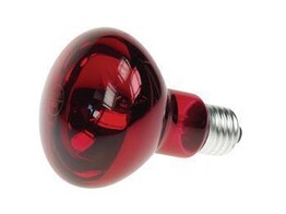RODE LAMP VOOR KLEURMENGING 60W