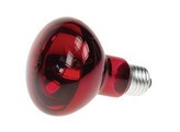 RODE LAMP VOOR KLEURMENGING 60W