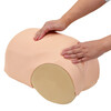 SIMULATEUR D EVALUATION DE L INVOLUTION UTERINE - MW38