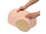 SIMULATEUR D EVALUATION DE L INVOLUTION UTERINE - MW38
