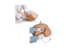 MALE   FEMALE CATHETERIZATION SIMULATOR SET- 1020186