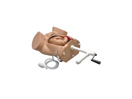OBSTETRIC SUSIE - ADVANCED CHILDBIRTH SKILLS TRAINER TORSO-S500.100