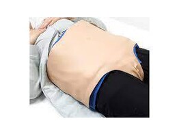 PUERPERAL UTERUS PALPATION TRAINING MODEL  WEARABLE TYPE  LM-116