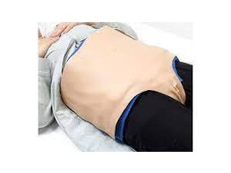 TRAININGSMODELL FUR DIE PALPATION DES UTERUS IM WOCHENBETT  TRAGBAR  LM-116