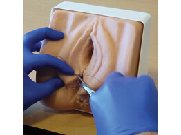 EPISIOTOMY SUTURING/PERINEAL REPAIR TRAINER