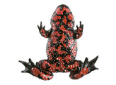 FIRE-BELLIED TOAD