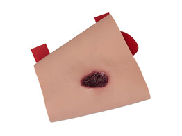 SIMULAIDS  SIMULATED IMPALEMENT OF THE LOWER LEG