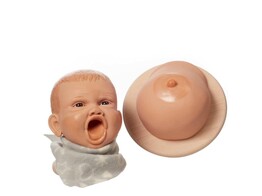 BREAST MODEL   MODEL HEAD FOR BREAST FEEDING