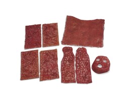 KIT DE SIMULATION DE BRULURES