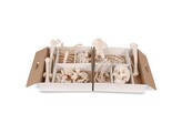 SKELET MENS HALF NIET GEMONT.