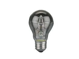 LAMP VOOR BERLESE-OPSTELLING  42 W  ECO