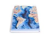 MID-ATLANTIC RIDGE