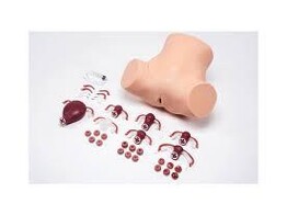 GYNECOLOGICAL SKILLS TRAINER-ZOE  S504.200