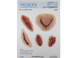 SHEET WITH CUTS