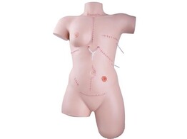 TRAINER FOR WOUND CARE AND BANDAGING TECHNIQUES br/  - P100