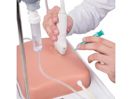 SONOTRAIN ULTRASOUND ADERMODEL  LICHTE HUID