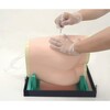 GLUTEUS MAXIMUS INJECTION SIMULATOR-KYOTO KAGAKU - M74