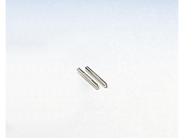 Stifte fur Eisenkern  U-formig  - PHYWE - 06502-00