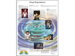DRUG DEPENDENCE CHART - VR1781L  1001618 