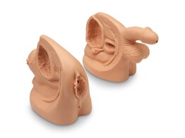 MALE   FEMALE CATHETER MODEL SET