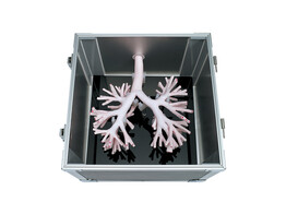 BRONCHOSCOPY TRAINING MODEL LM-092-KOKEN