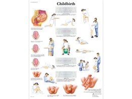 POSTER CHILDBIRTH   PAPIER   ENGLISCH   VR1555UU