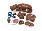 GAUMARD NOELLE MATERNAL AND NEONATAL BIRTHING TORSO-S552-TON FONCE