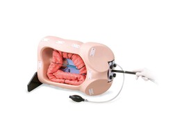 KOLONOSKOPIE-TRAININGSSIMULATOR - M40
