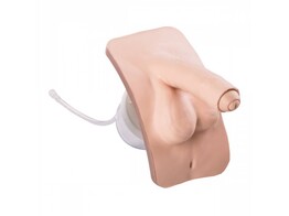 INSERT POUR SIMULATEUR DE CATHETERISME BASIC  MASCULIN