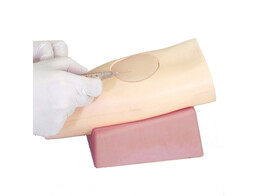 INTRADERMAL INJECTION TRAINING SIMULATOR - M94