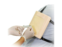 ECHOGELEIDE THORACENTESE-SIMULATOR - SET MET RIEM - MW4A