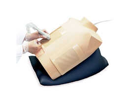 SIMULATEUR DE PERICARDIOCENTESE ULTRASONIQUE  ENTRAINEMENT REALISTE - MW15