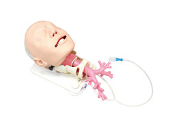 DIFFICULT AIRWAY MANAGEMENT SIMULATOR FOR BRONCHOFIBERSCOPY - MW19