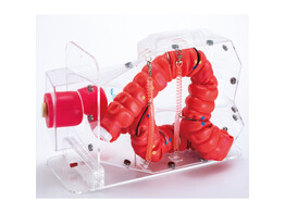 3D-COLONOSCOPIETRAININGSSIMULATOR NKS - MW24
