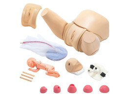 OBSTETRISCHE TRAININGSSIMULATOR - COMPLETE SET - MW40