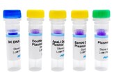 KIT   ADN PLASMIDIQUE BACTERIEN EN ELECTROPHORESE SUR GEL