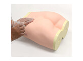 GLUTEUS MAXIMUS INJECTION SIMULATOR-KYOTO KAGAKU - M74