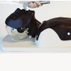 DIFFICULT AIRWAY MANAGEMENT SIMULATOR -TRAINING MODEL- DARK TONE - MW13